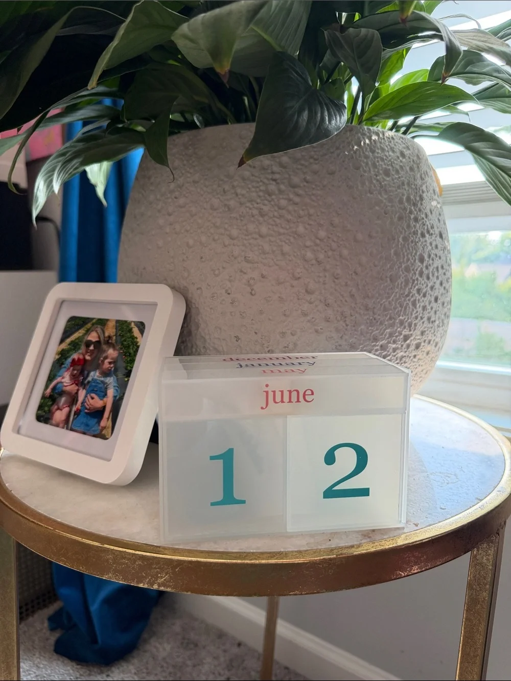 Erin Condren Frosted Acrylic Perpetual Calendar